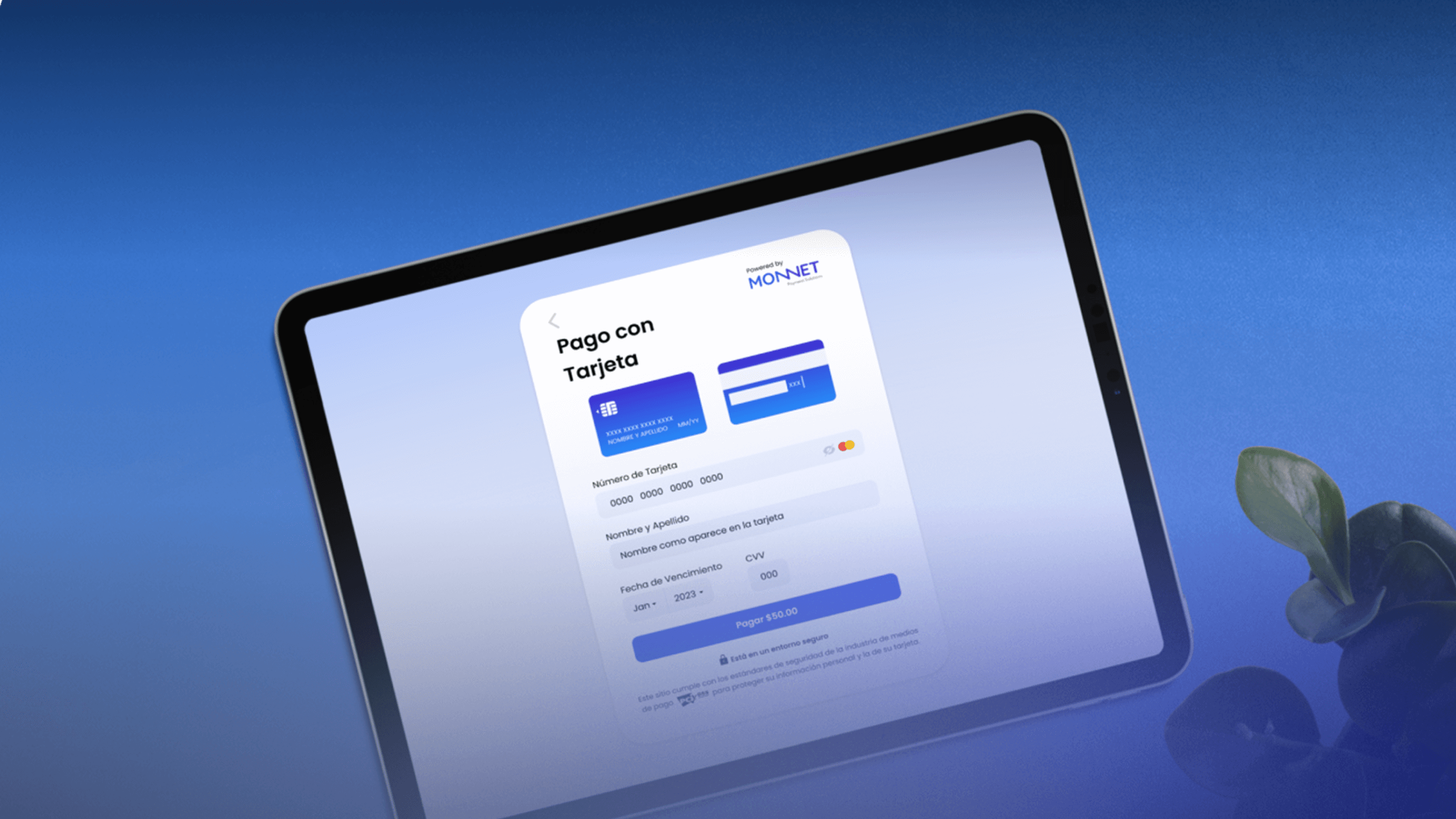 Monnet Payment Solutions | Payment Processing Platform