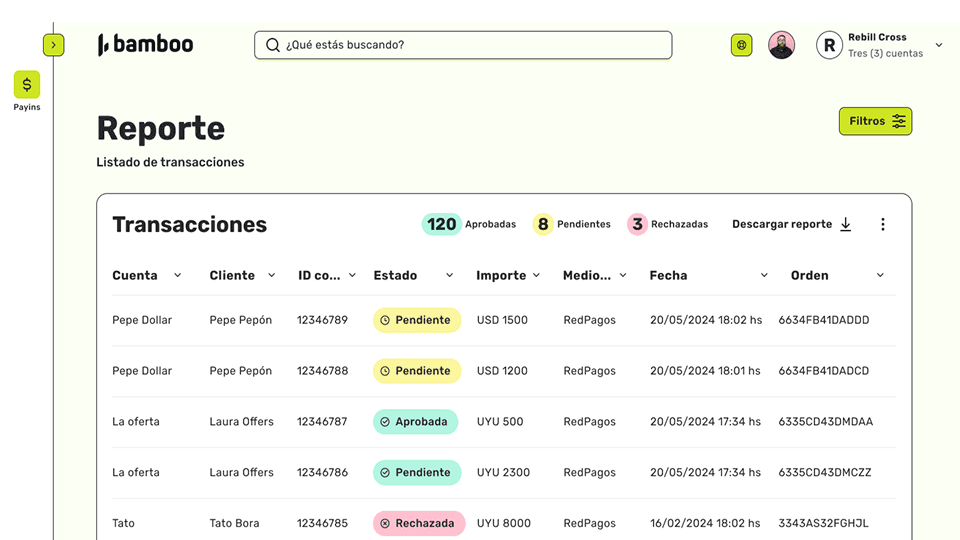 Bamboo | Cross-Border Payment Solutions