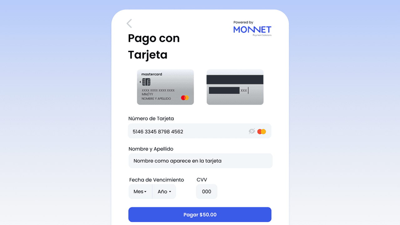 Monnet Payment Solutions | Payment Processing Platform